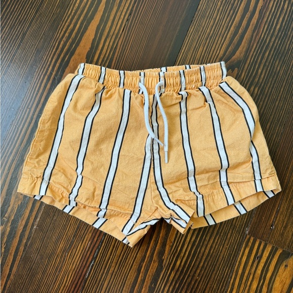 Another Fox Short - Picture 1 of 3